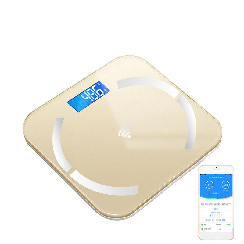 Digital Body Weight Scale