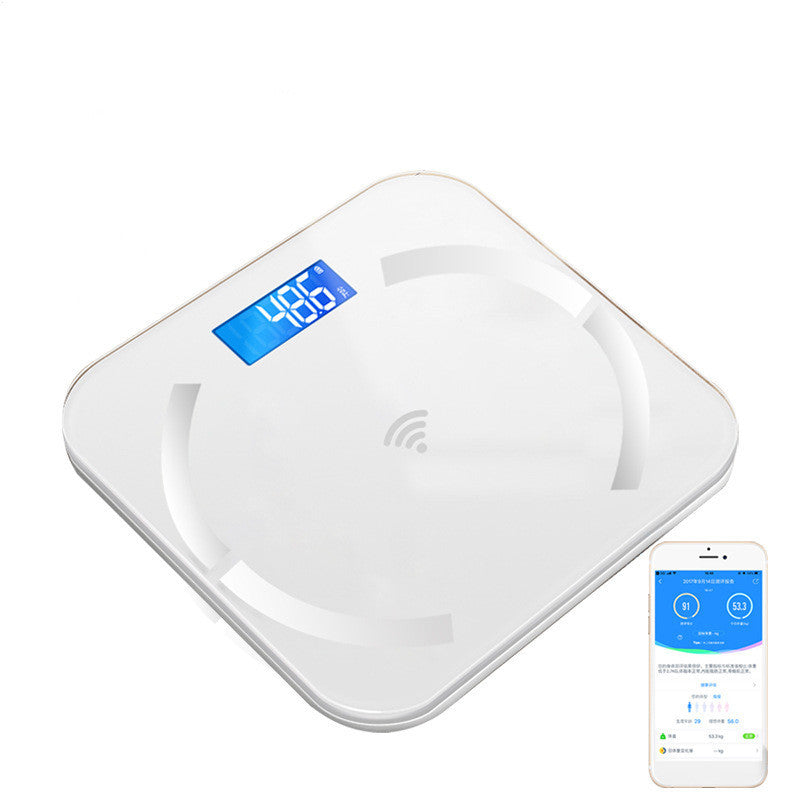 Digital Body Weight Scale