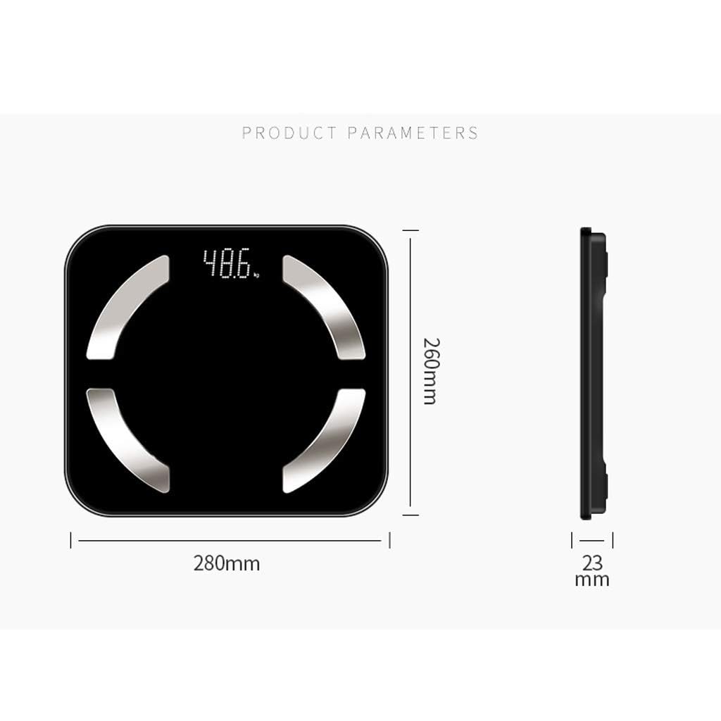 Digital Body Weight Scale